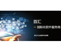 數字化營銷時代 熱賣促銷如何借力軟件信息咨詢服務